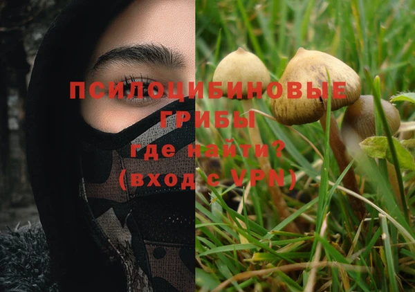 бутират Пестово