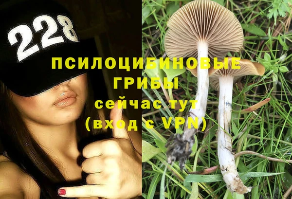 твердый Осташков