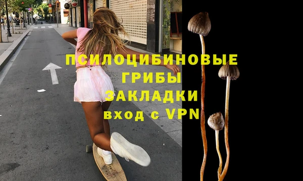 PSILOCYBIN Горняк