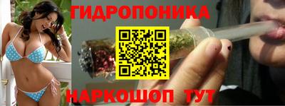 apvp Гусев