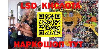 спайс Берёзовский