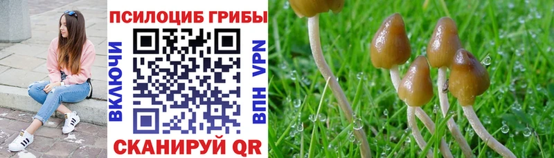 Галлюциногенные грибы мухоморы  дарнет шоп  Краснотурьинск 