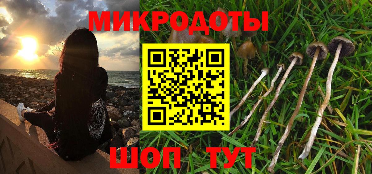 Псилоцибиновые грибы Magic Shrooms  как найти закладки  Псилоцибиновые грибы Cubensis  Краснотурьинск 